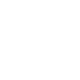 AI Developer