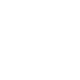 Game Developer